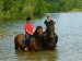 Dinky a Čipera - plavení koní na Tršické přehradě 2008